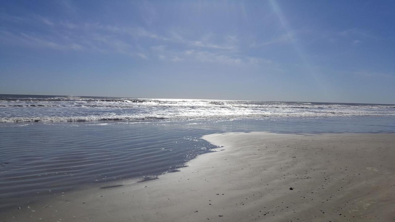 Private Beach -- Away From The Crowds - Ocean Views -Short Drive To Moody Gardens, Schlitter Bahn, Pleasure Pier Галвестон Екстер'єр фото